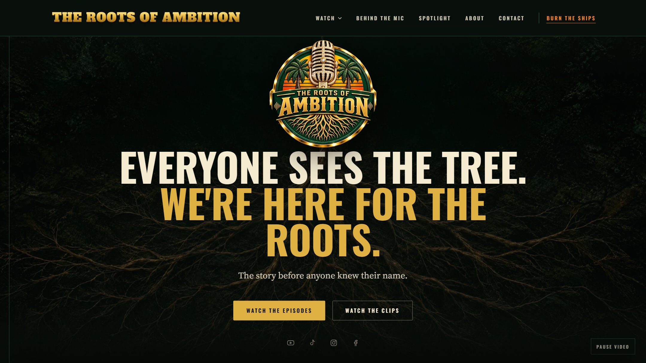 The new homepage hero with the diamond logo